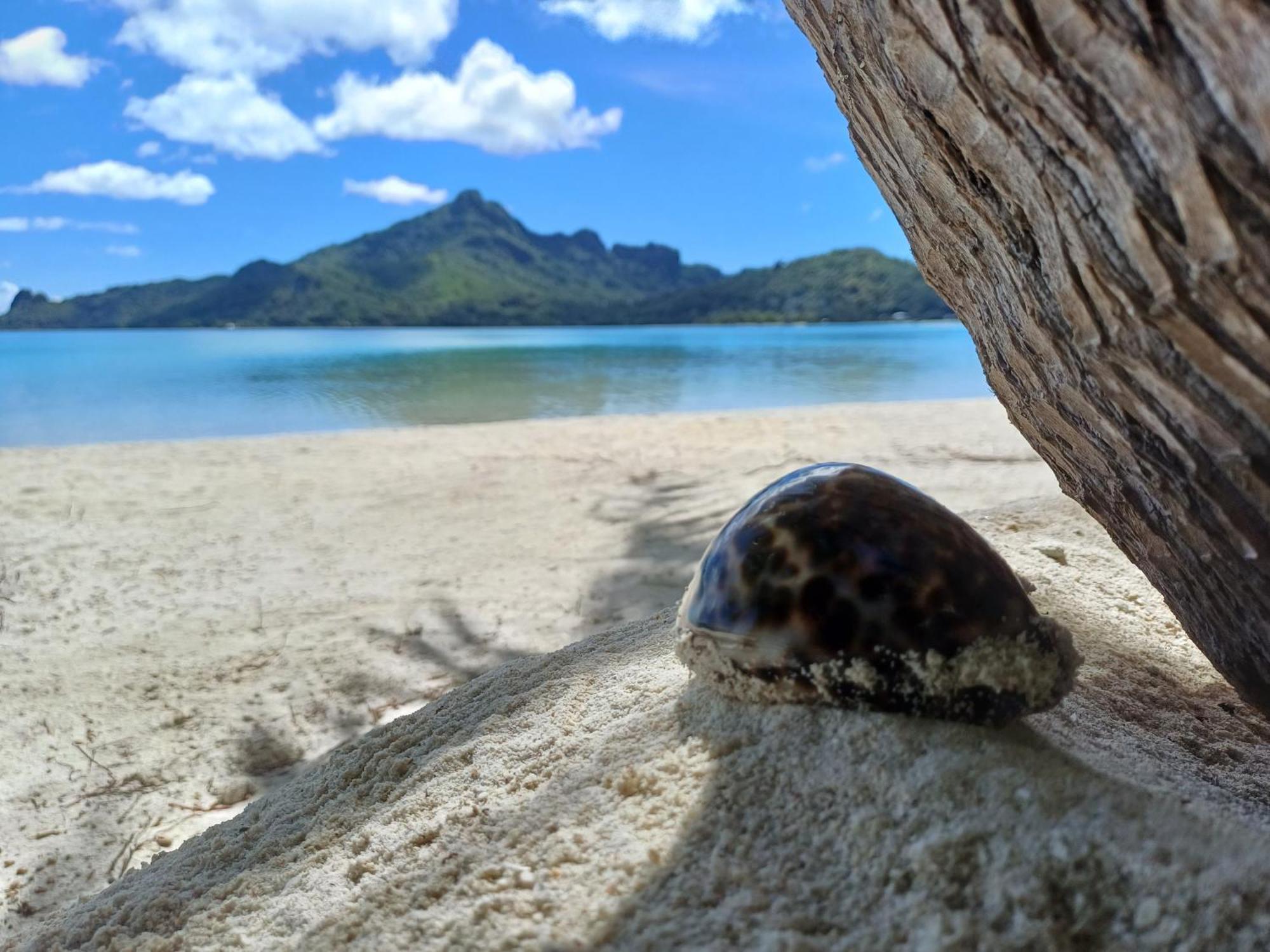 Poemanahere Island Camping A Maupiti Te-Fare-Arii Екстериор снимка