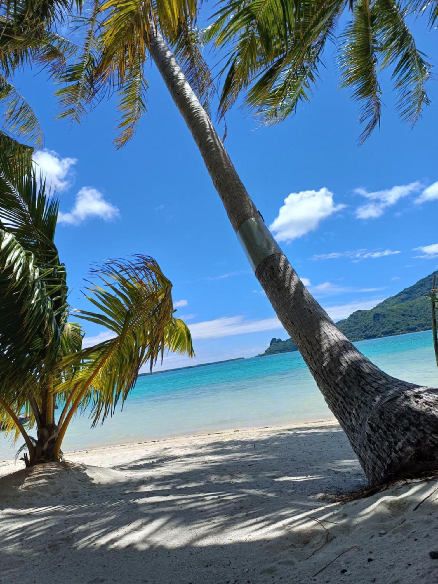 Poemanahere Island Camping A Maupiti Te-Fare-Arii Екстериор снимка