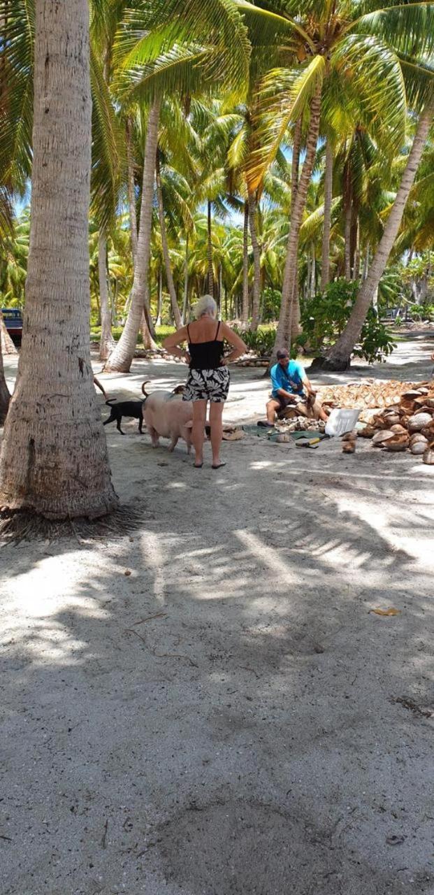 Poemanahere Island Camping A Maupiti Te-Fare-Arii Екстериор снимка